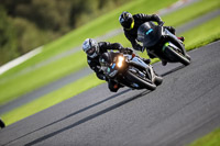 anglesey;brands-hatch;cadwell-park;croft;donington-park;enduro-digital-images;event-digital-images;eventdigitalimages;mallory;no-limits;oulton-park;peter-wileman-photography;racing-digital-images;silverstone;snetterton;trackday-digital-images;trackday-photos;vmcc-banbury-run;welsh-2-day-enduro